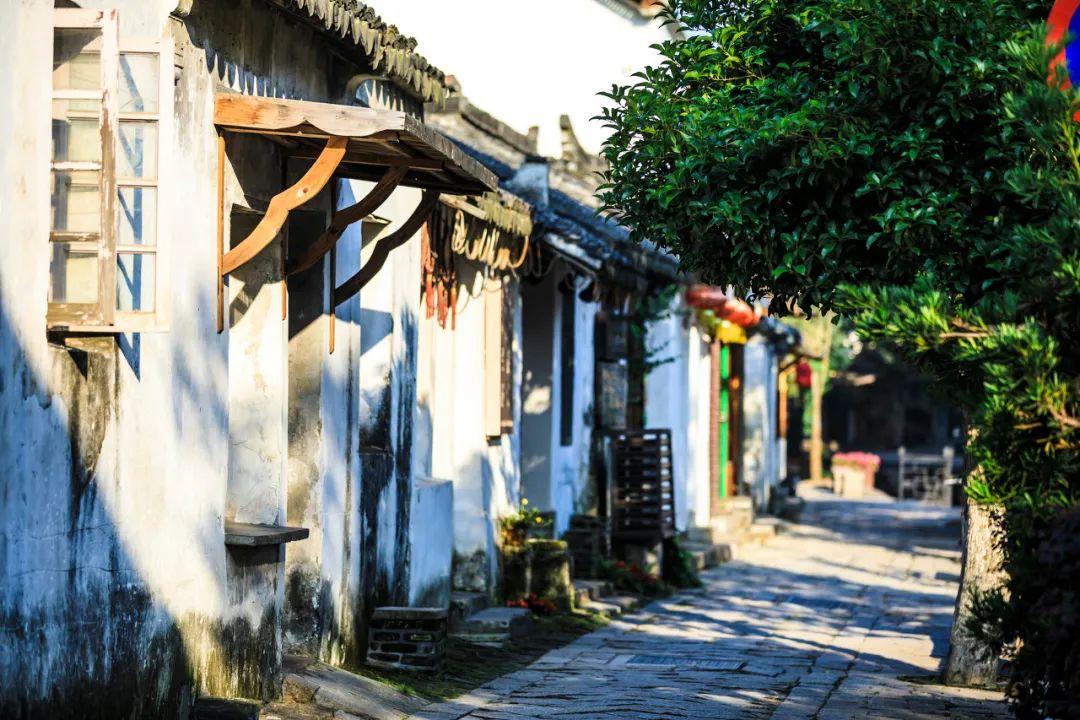 长沙举行国家急救日倡议活动 无障碍急救平台正式启动